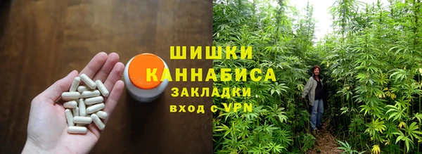 стафф Сосновоборск
